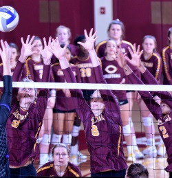 Volleyball players at the net